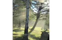 11 Vail Loop, Angel Fire, NM 87710-0000