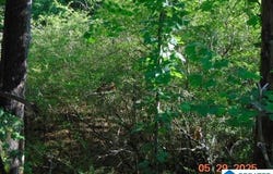 Lot 1 COUNTY ROAD 182, CLANTON, AL 35045