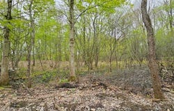Co Rt 2, Richland, NY 13142