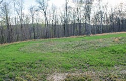 0 Bell Hollow Road, Vanleer, TN 37181