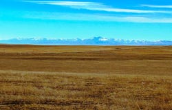 County Road 55, Ault, CO 80610