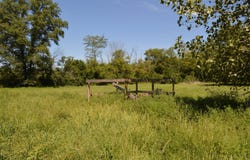 110 S Water, Golden Gate, IL 62843