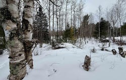 340 Taylor, Gwinn, MI 49841