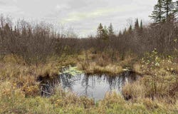 BERGLAND ROAD, Ogema, WI 54459