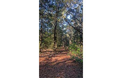 8092 Highway 393, Laurel Hill, FL 32567