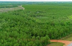 Greenwood Rd, Jay, FL 32565