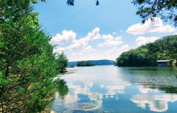 E Shore Drive, Rockwood, TN 37854