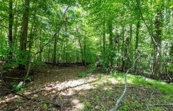 6910 Long Meadow Lane, Whitsett, NC 27377