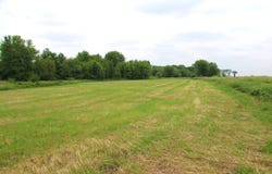 40248 1550 E Rd, Hoopeston, IL 60942