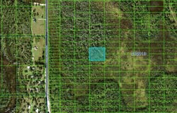 OLD GRADE RD, POLK CITY, FL 33868