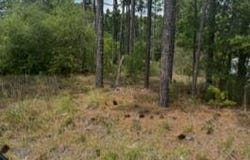 0 N Greensboro Road, Boiling Spring Lakes, NC 28461