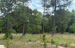 5591 Sandfort Road, Seale, AL 36875