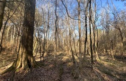 NE Furrs Mill Drive, Wesson, MS 39191