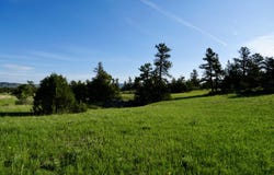 TBD County Road 82 E, Livermore, CO 80536