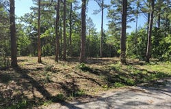 000 Fossil Cove Road, Cape Fair, MO 65624