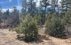 143 Ive Place, Cotopaxi, CO 81223