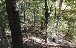 1 Perry Creek Road, Satartia, MS 39162