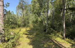 12206 W Turner Rd, Rudyard, MI 49780