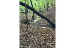 668 Gold Cove Drive, Dahlonega, GA 30533