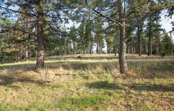 Leaning Tree Lane, Clancy, MT 59634