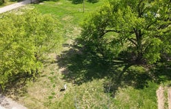 702 Washington Ave, Pacific Junction, IA 51561