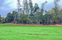 Tract 4 Medon Malesus Road, Medon, TN 38356