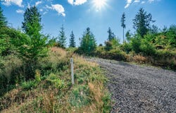 S Silver Lake, CastleRock, WA 98611