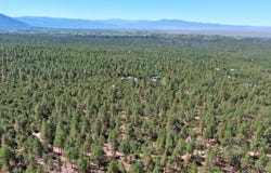 Tract Turkey Springs Road, Valdez, NM 87580
