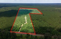 Parcel # 28356 FM 1751, San Augustine, TX 75972