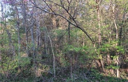 Cedar Hill, MO 63016