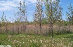 Gratiot Avenue, Marysville, MI 48040