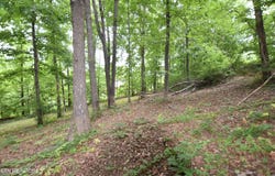 Grove Lane, Clinton, TN 37716