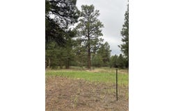 Lot 430 S Badger Trail, Ridgway, CO 81432