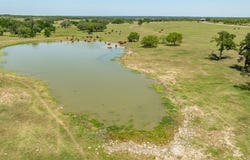 Tbd FM1744, Hico, TX 76457