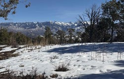 Pine Drive, Ridgway, CO 81432