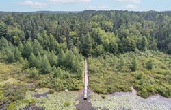 15669 S Cranberry Lake Rd, Wascott, WI 54890
