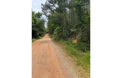 Tract 4 - Gobbler Creek Rd, Wedowee, AL 36278