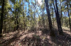 OBrien, FL 32071