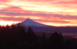 6807 CORREGIDOR Rd, Vancouver, WA 98664