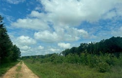 7000 Dennisville Road, Amelia Courthouse, VA 23002