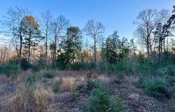 2165 Dorsey Road, Hemphill, TX 75948