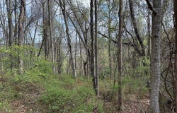 Holly St, Galax, VA 24333