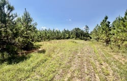 Rounsaville Church Road, Coffeeville, MS 38922