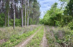 Dardanelle, AR 72834