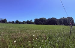 N Maple Street, Dadeville, MO 65635