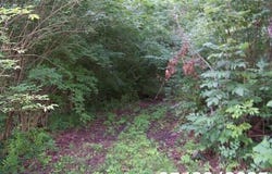 0 Owens Road E, Marion, OH 43302