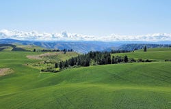 Tbd Basket Rd, Nezperce, ID 83543