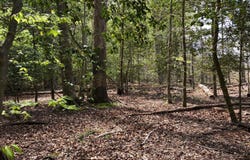9045 GENEVIEVE Drive, WHITE PLAINS, MD 20695