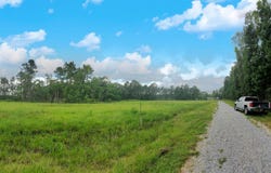 Lot 4 Weiss Rd, Walker, LA 70785