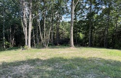 Cole Hollow Rd, New Tazewell, TN 37825